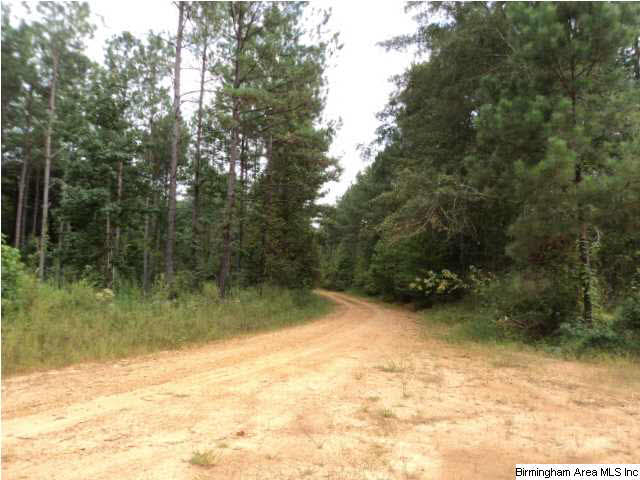 22 Highway Ac Al, Unit 89 Daviston, AL 36256 - Photo 3 of 10