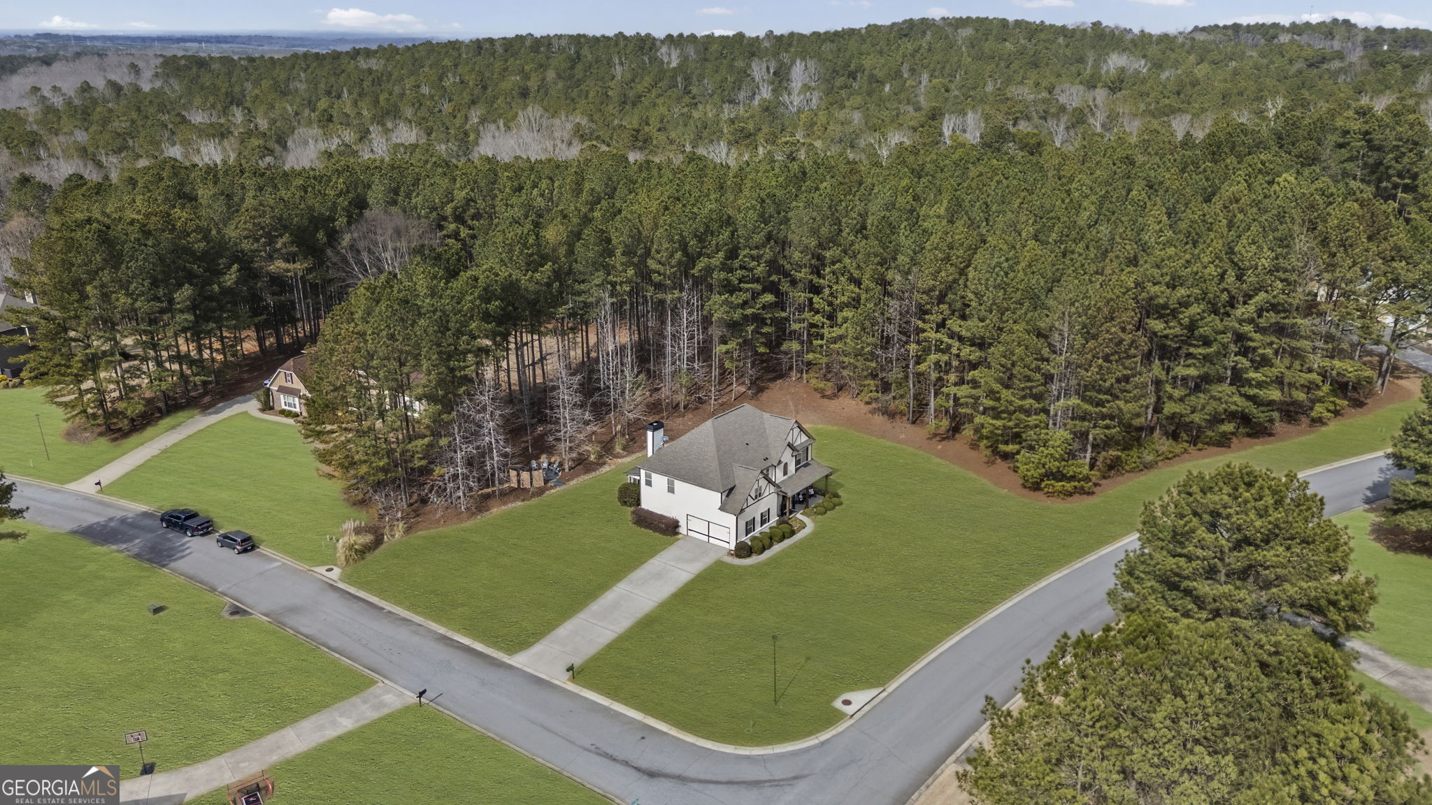 7 Harris Court Newnan, GA 30263 - Photo 58 of 64 an aerial view of a residential houses with outdoor space