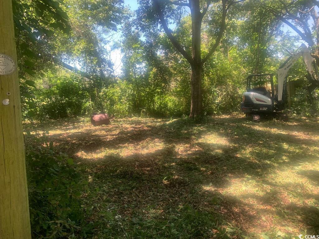 381 Beaty Avenue Murrells Inlet, SC 29576 - Photo 6 of 6 View of yard