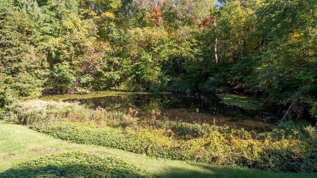 267 Dedham Street Dover, MA 02030 - Photo 41 of 42