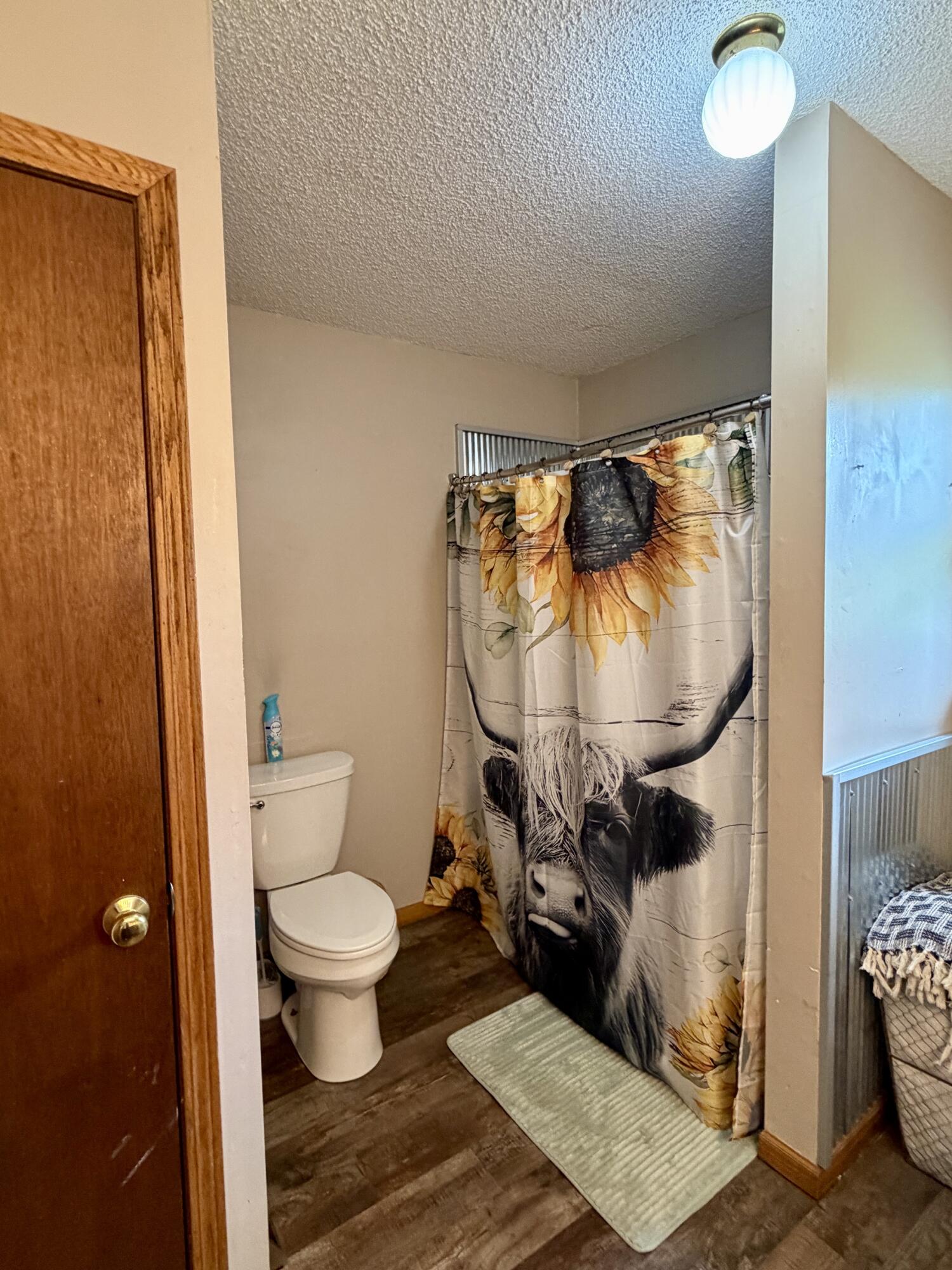9435 East Garfield Road Hesperia, MI 49421 - Photo 11 of 36 IMG_0448