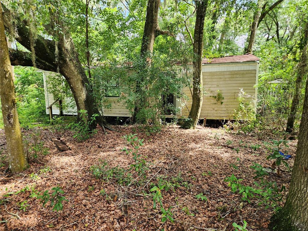 9228 Northeast Jacksonville Road Anthony, FL 32617 - Photo 8 of 8 a view of a backyard with large trees