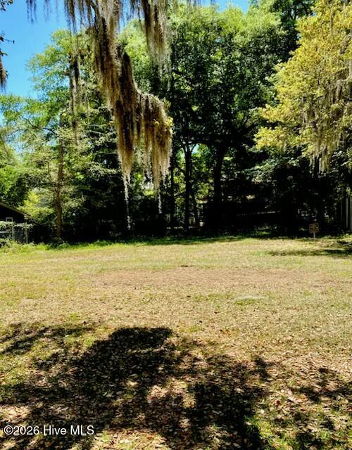 1633 Gause Landing Road Southwest Ocean Isle Beach, NC 28469 - Photo 13 of 18 Additional lot view from front of home