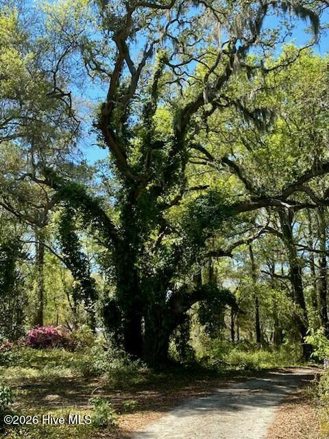 1633 Gause Landing Road Southwest Ocean Isle Beach, NC 28469 - Photo 18 of 20 IMG_2674