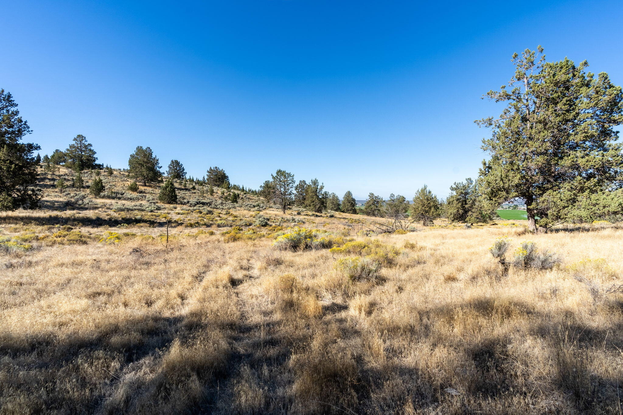 5598 North Mckay Road Prineville, OR 97754 - Photo 50 of 81 IMG_5823