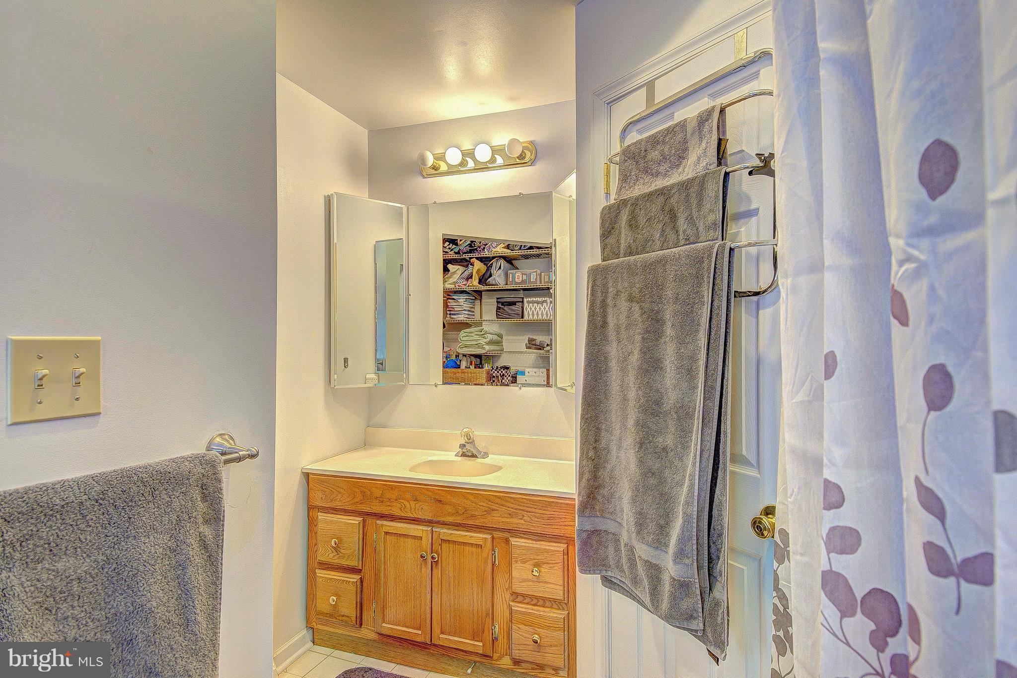 3315 Crane Road Port Republic, MD 20676 - Photo 9 of 30 Master bath has unique set up