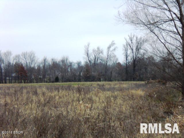 0 Strawberry Road Carbondale, IL 62901 - Photo 3 of 6 Gallery Image 3