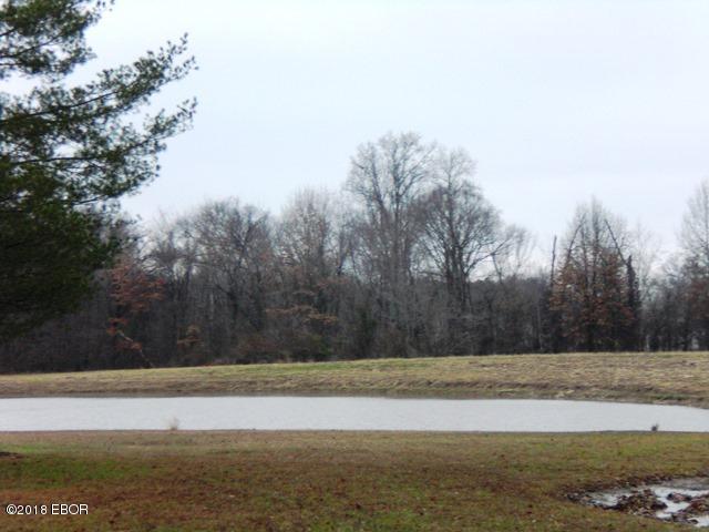 0 Strawberry Road Carbondale, IL 62901 - Photo 4 of 6 Gallery Image 4