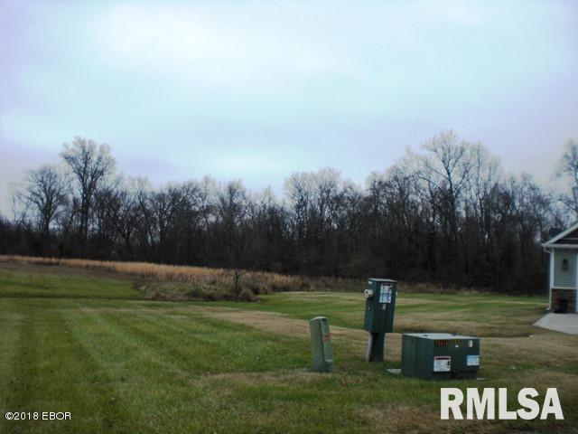 0 Strawberry Road Carbondale, IL 62901 - Photo 6 of 6 Gallery Image 6