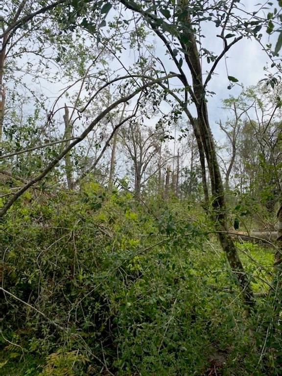 160 Ford Road Ragley, LA 70657 - Photo 1 of 2