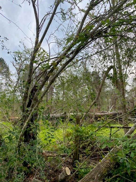 160 Ford Road Ragley, LA 70657 - Photo 2 of 2