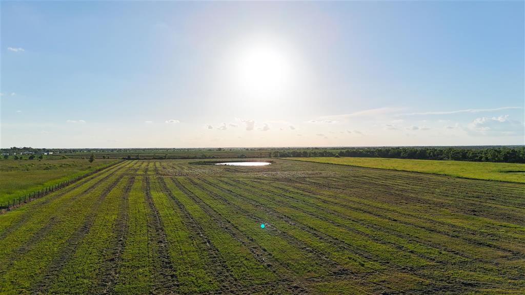 Tbd Tbd Mott Road Bell City, LA 70630 - Photo 4 of 4