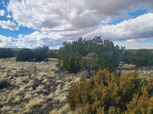 $22,500 | 5166 Concho Az 85924, Concho, AZ 85924