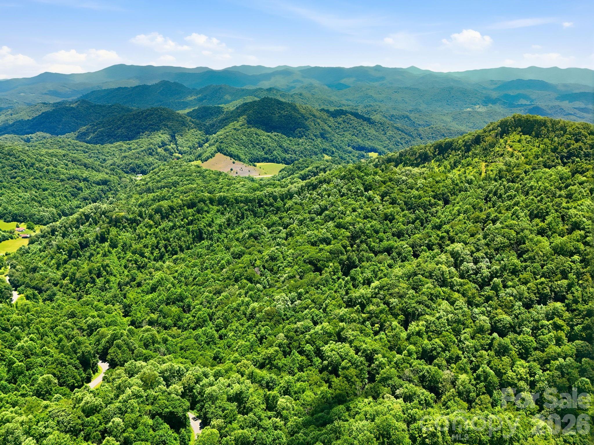 Tbd Windy Gap Road, Unit TRACT B Mars Hill, NC 28754 - Photo 6 of 13