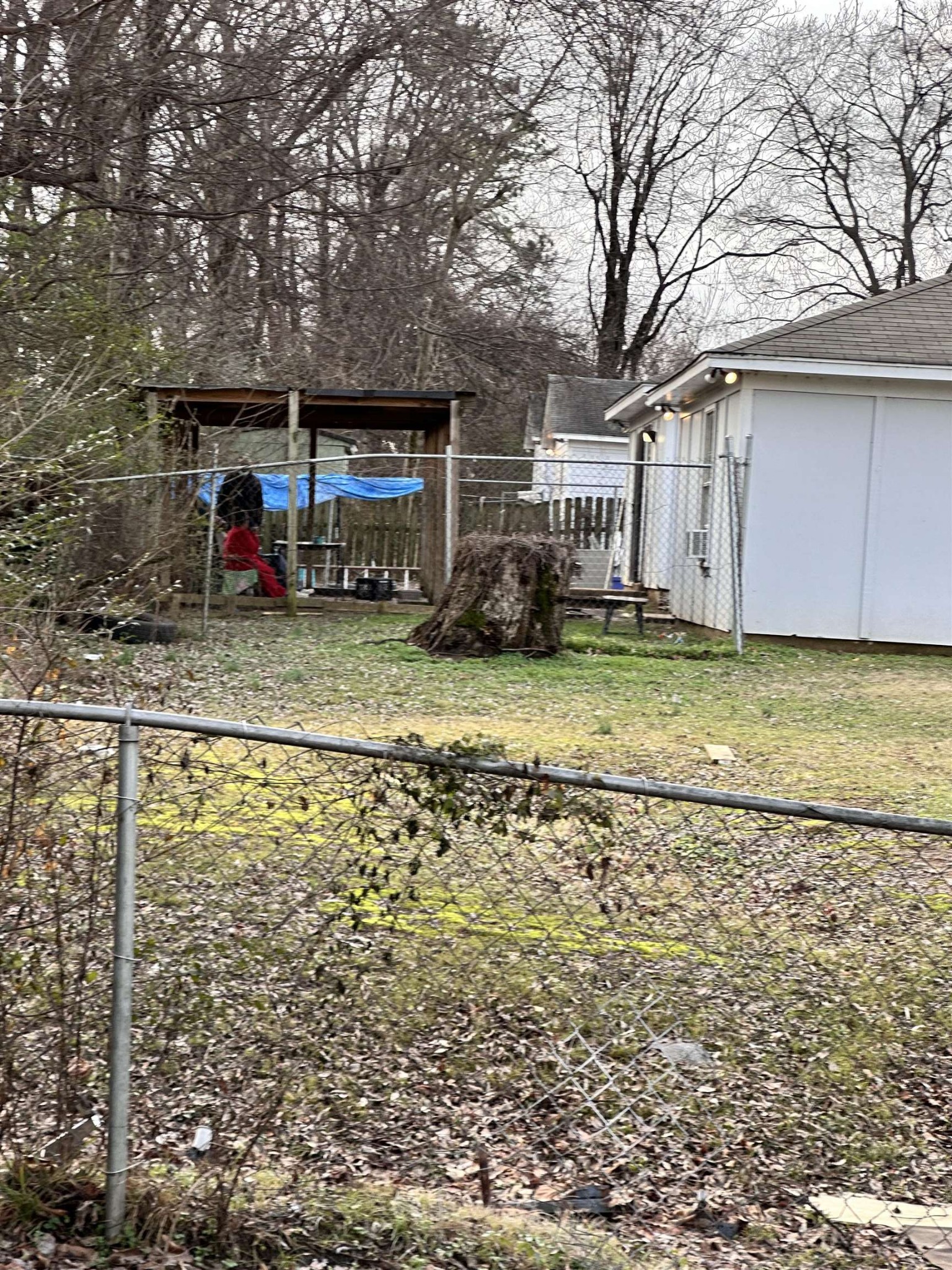 123 Lucy Avenue Memphis, TN 38106 - Photo 21 of 25 a view of a house with a yard