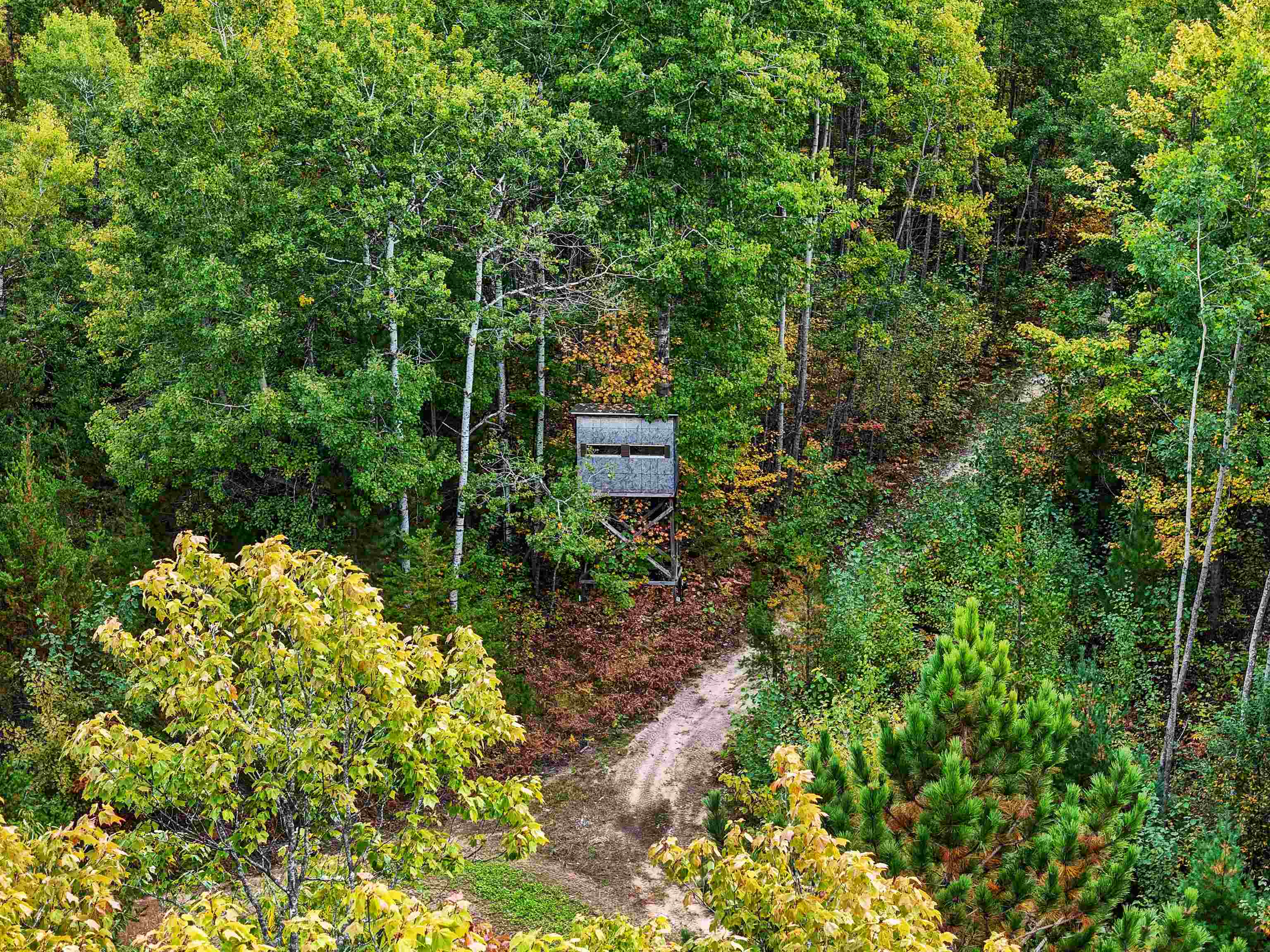 1667 East Walker Road Lake City, MI 49651 - Photo 47 of 54
