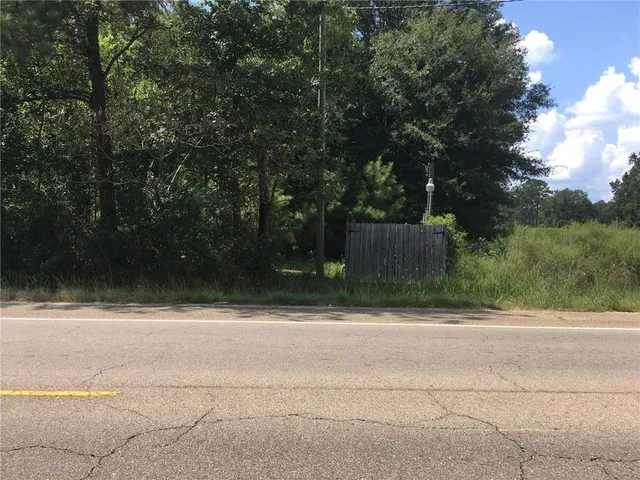 $139,000 | 0 Hwy 51 Highway, Independence, LA 70443