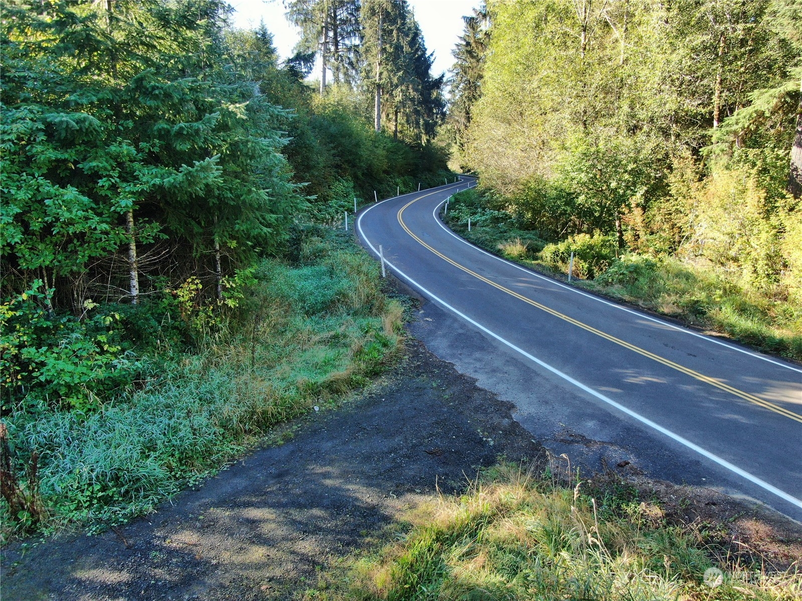-nka Butte Creek Road Raymond, WA 98577 - Photo 1 of 9 a view of a yard with plants and a bench