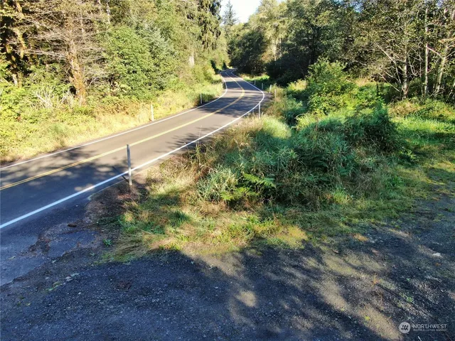 a view of yard with green space