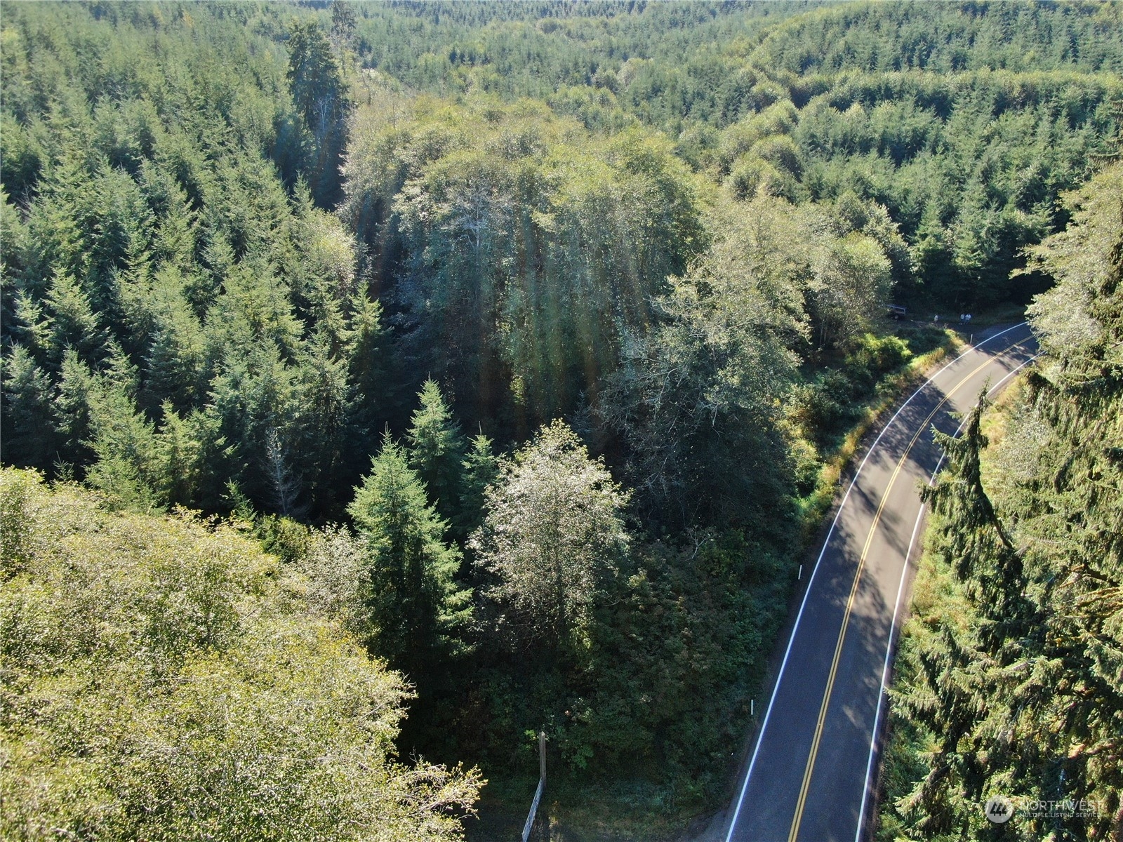 -nka Butte Creek Road Raymond, WA 98577 - Photo 3 of 9