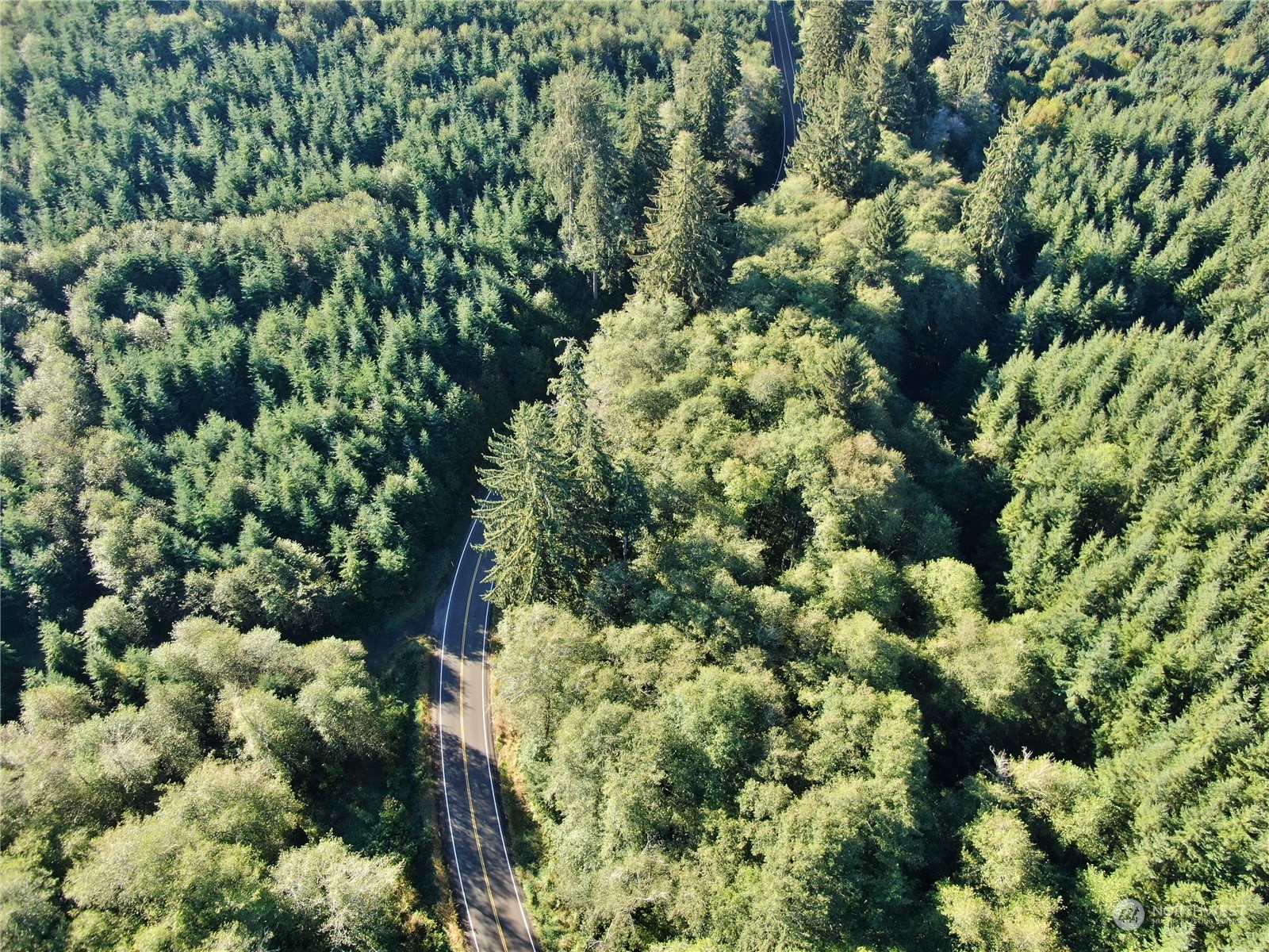 -nka Butte Creek Road Raymond, WA 98577 - Photo 4 of 9 a view of a garden