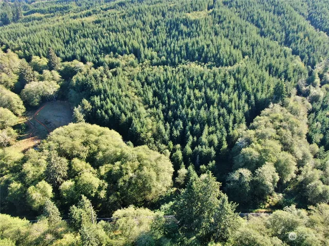 a view of a lush green hillside and a mountain