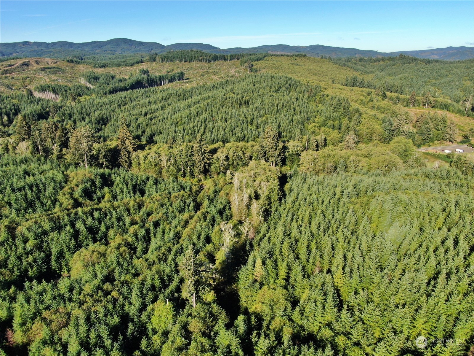 -nka Butte Creek Road Raymond, WA 98577 - Photo 7 of 9 a view of a lush green hillside and a mountain
