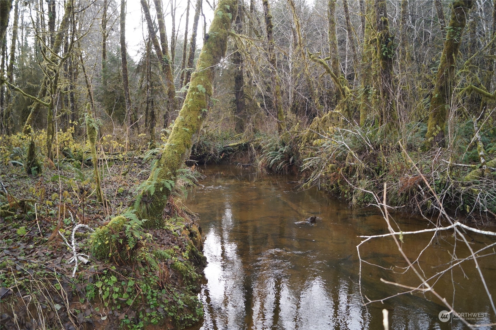 -nka Butte Creek Road Raymond, WA 98577 - Photo 8 of 9 a backyard of a house with lots of green space and a lake view