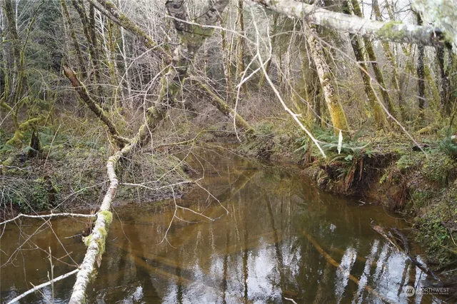 $115,000 | -nka Butte Creek Road, Raymond, WA 98577