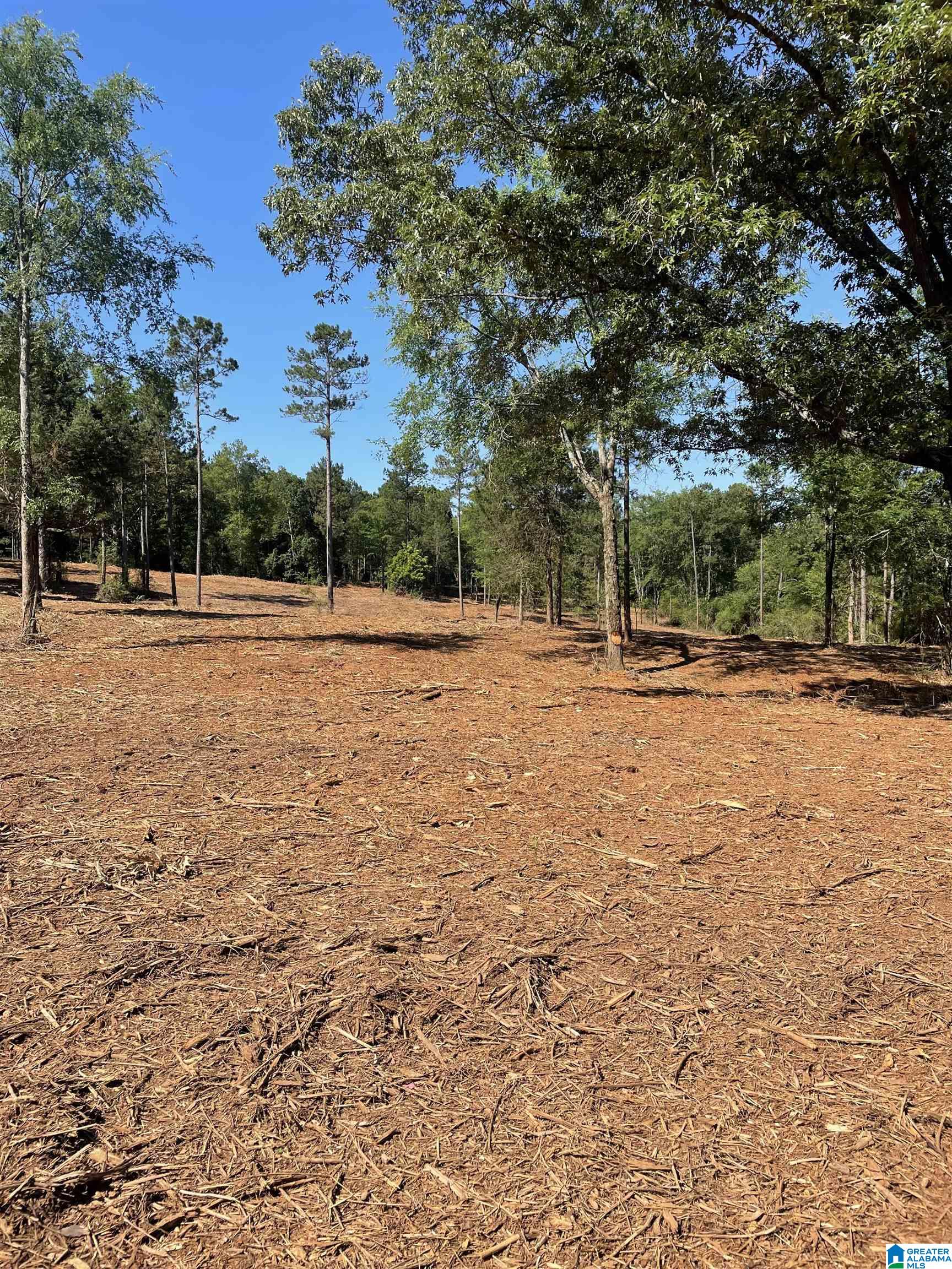 0 Ironaton Road, Unit 1 Talladega, AL 35160 - Photo 1 of 10