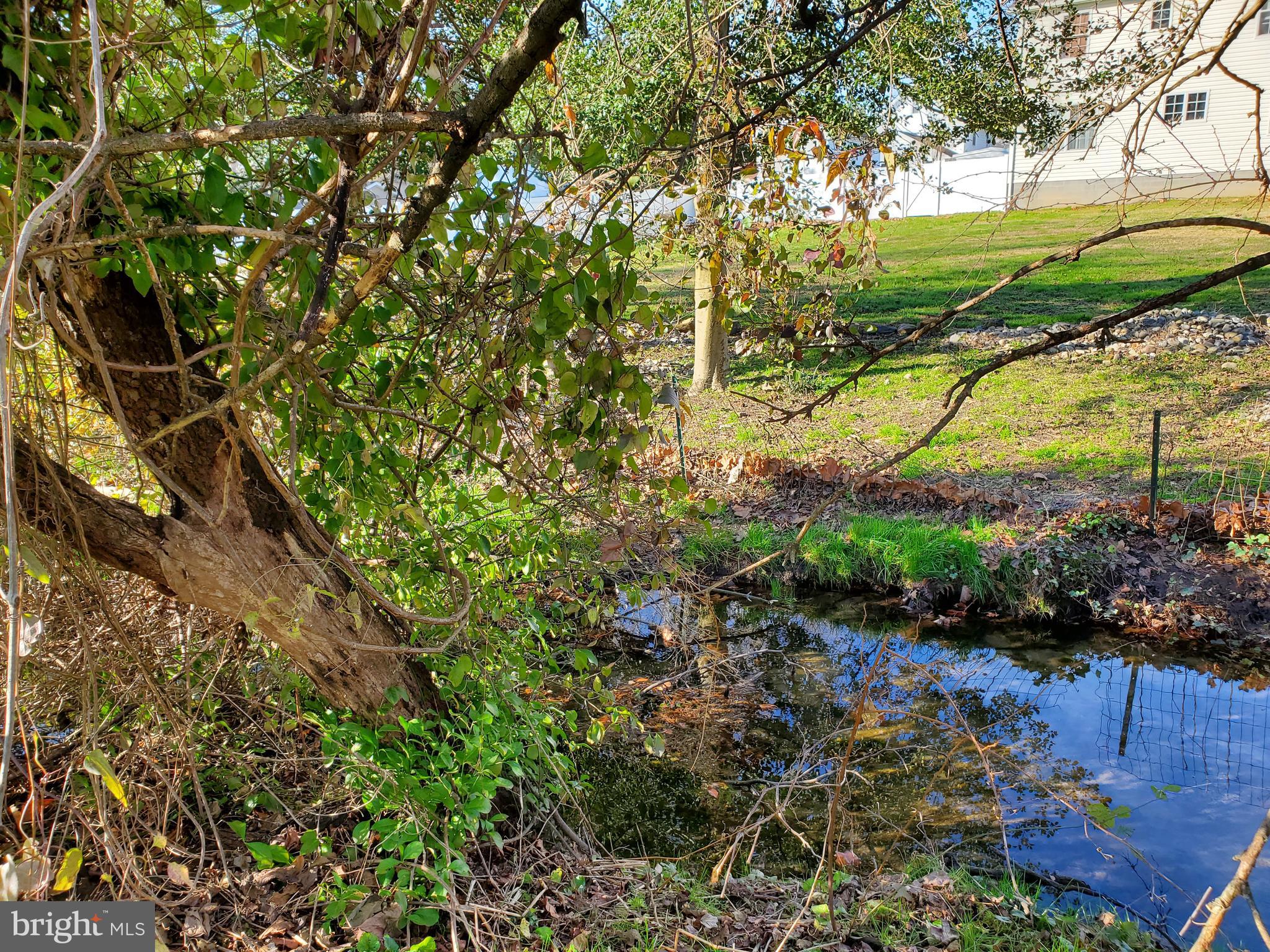 102 Harrison Avenue Camden Wyoming, DE 19934 - Photo 40 of 50 Moving stream at the back of the property