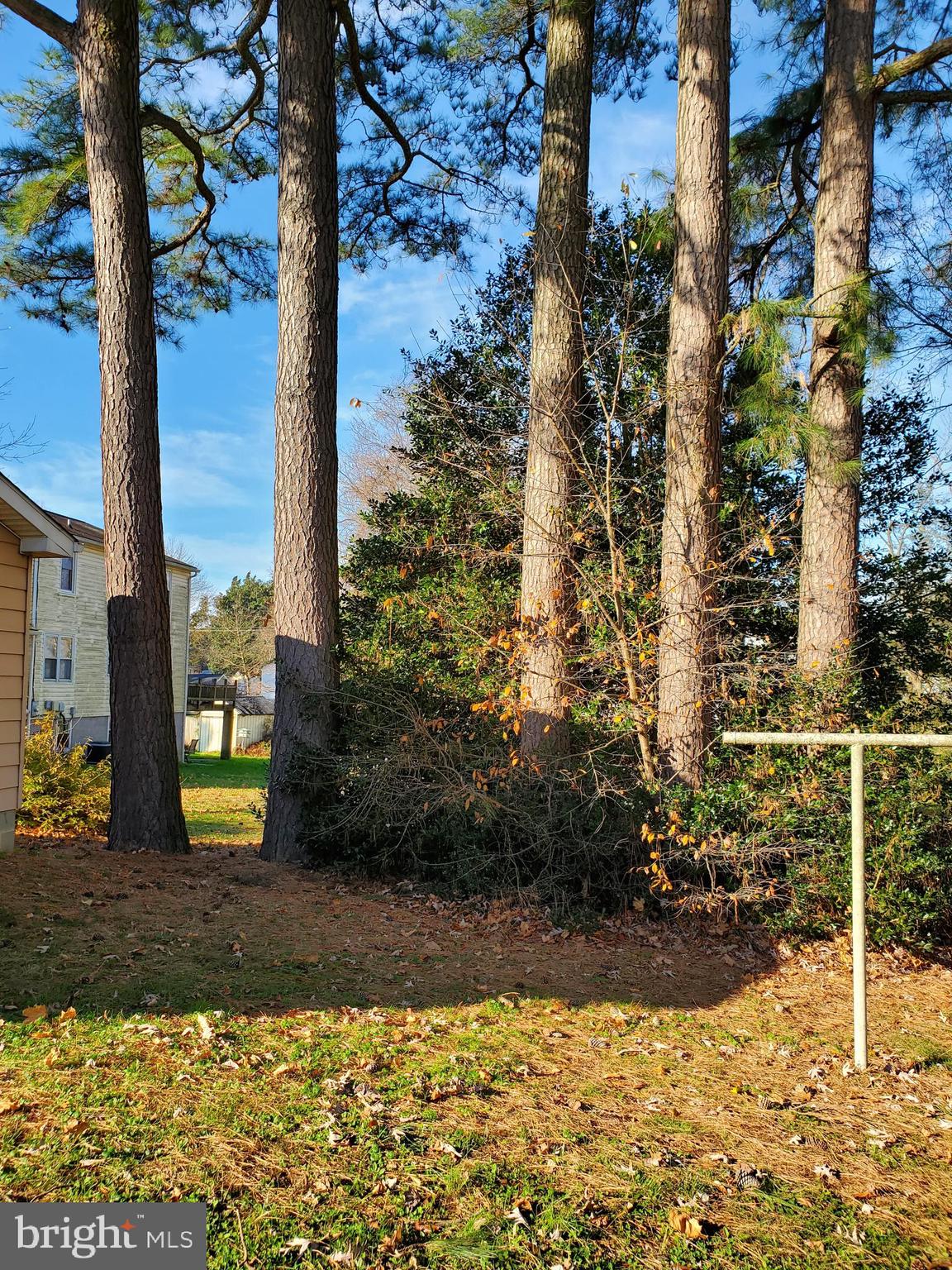102 Harrison Avenue Camden Wyoming, DE 19934 - Photo 41 of 50 Tree lined yard