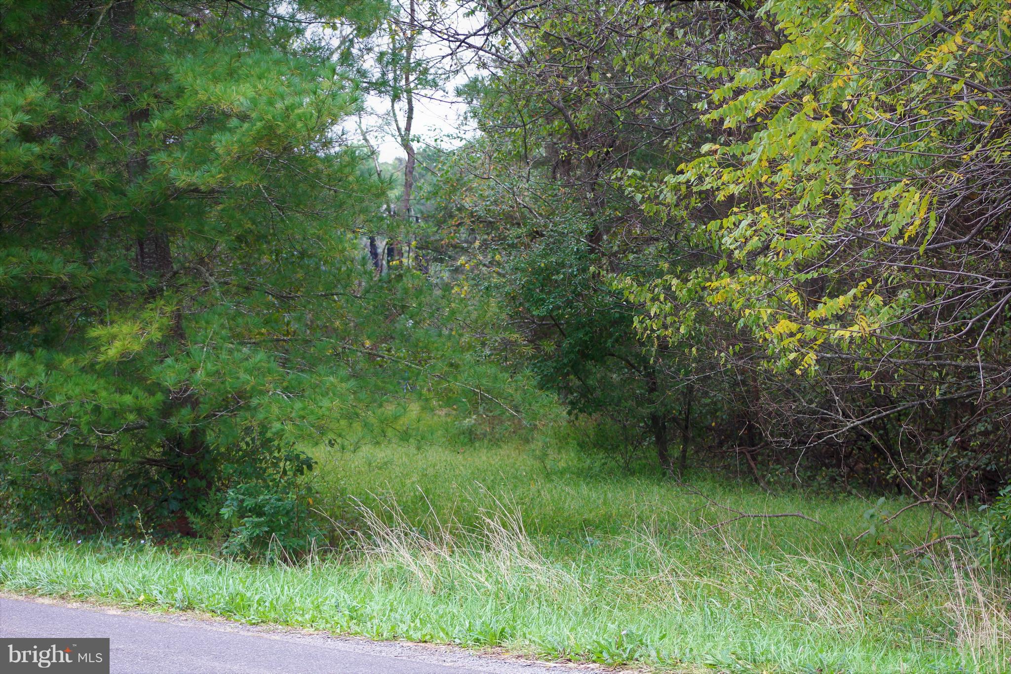 9236 Mountain Run Lake Road Culpeper, VA 22701 - Photo 1 of 4 Main Road Frontage