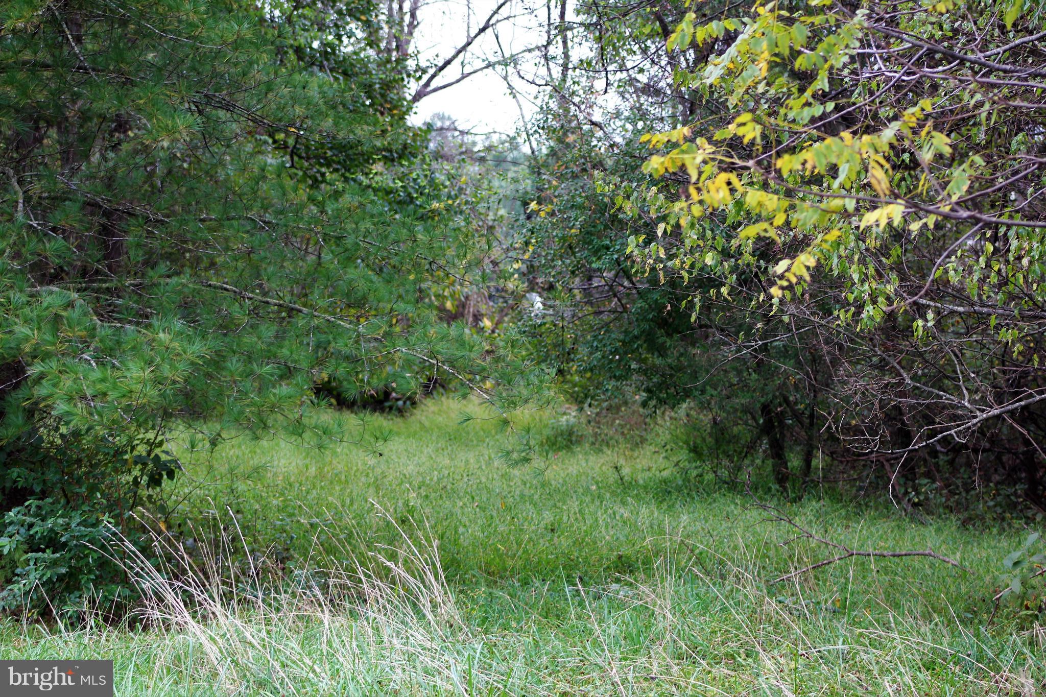 9236 Mountain Run Lake Road Culpeper, VA 22701 - Photo 2 of 4 Some Open Land
