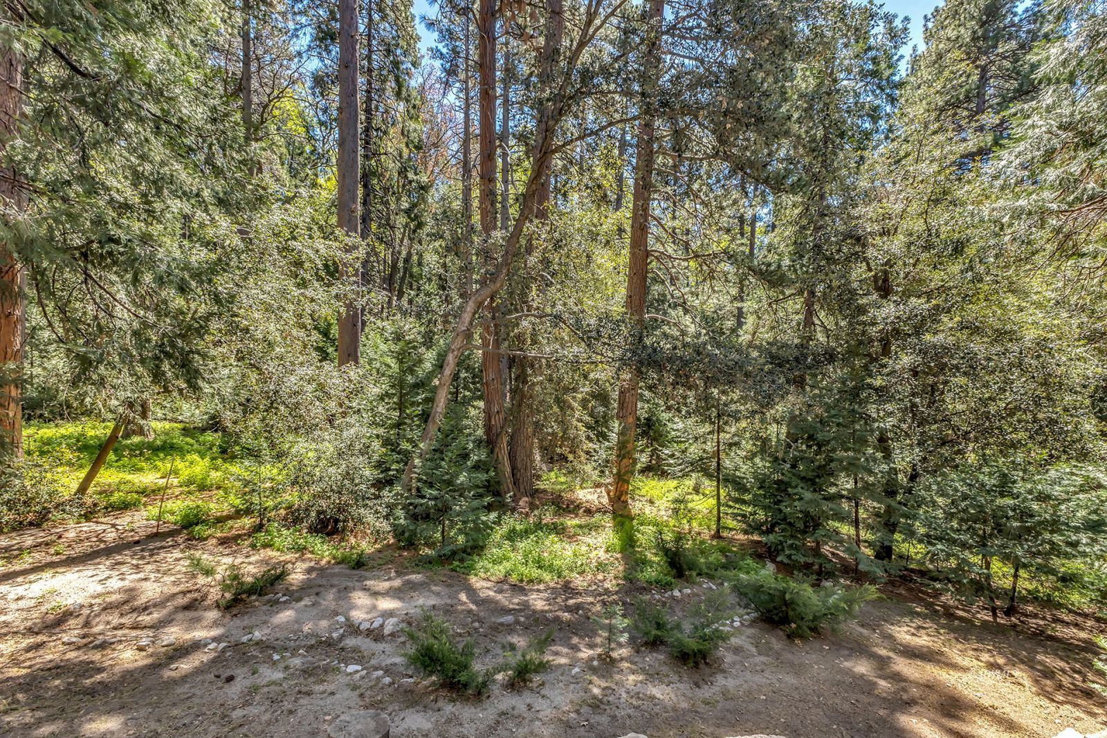 52143 Acorn Lane Idyllwild, CA 92549 - Photo 38 of 57 a view of outdoor space and trees