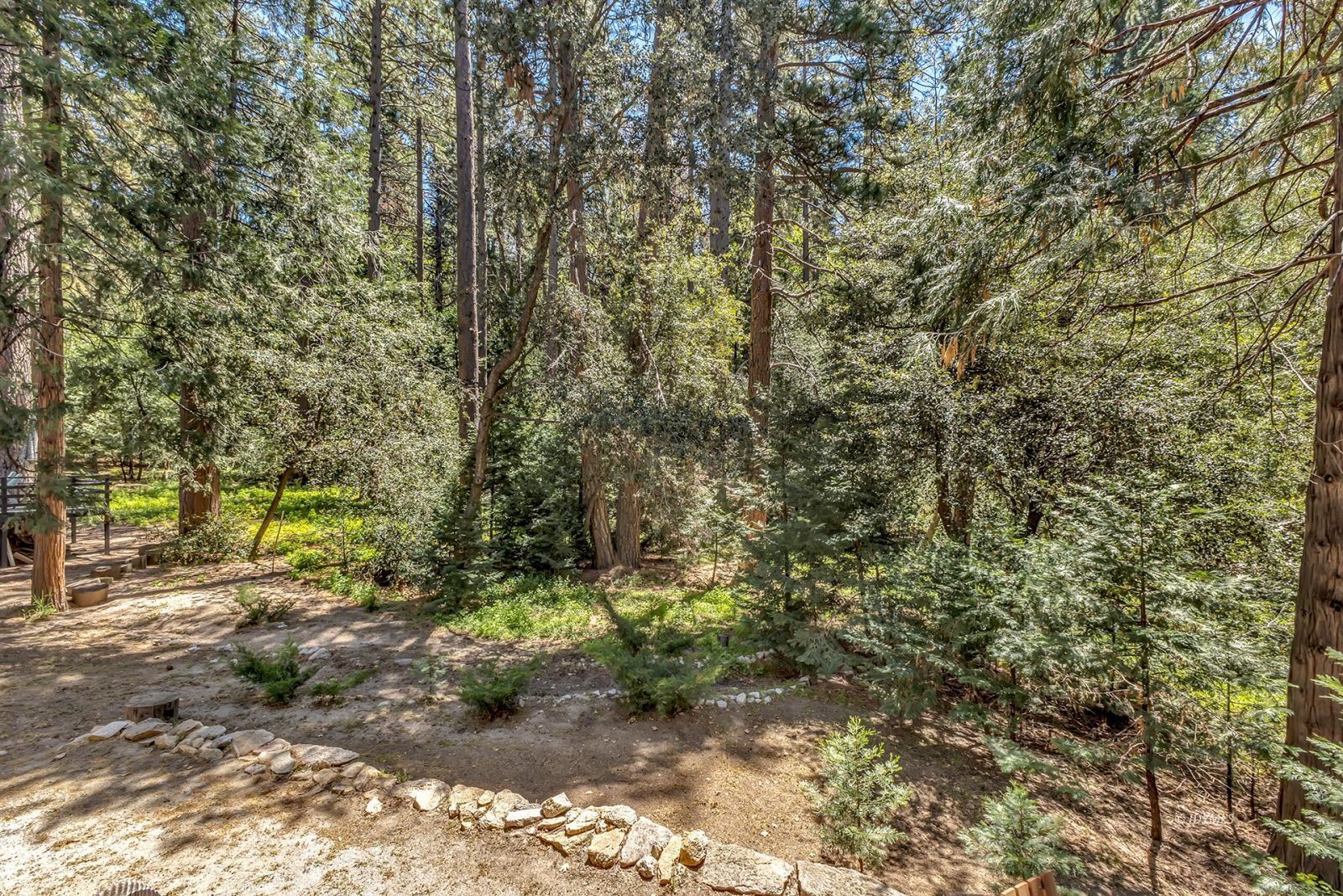 52143 Acorn Lane Idyllwild, CA 92549 - Photo 39 of 57 a view of a forest with trees