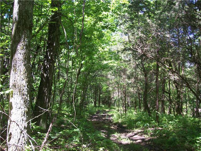 380 Mutton Hollow Hill Road Bethpage, TN 37022 - Photo 20 of 20 Gallery Image 20