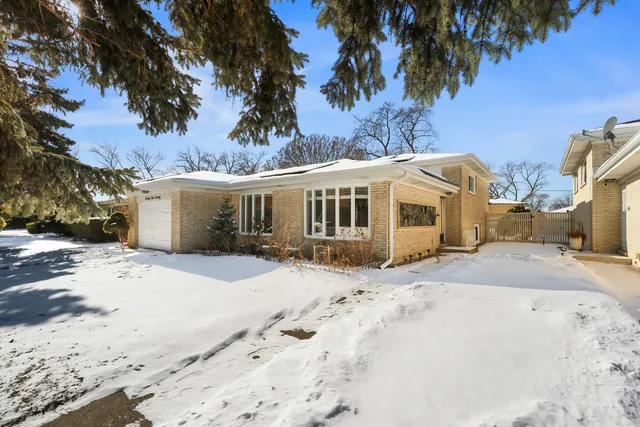 a front view of a house with a dirt yard and a large tree