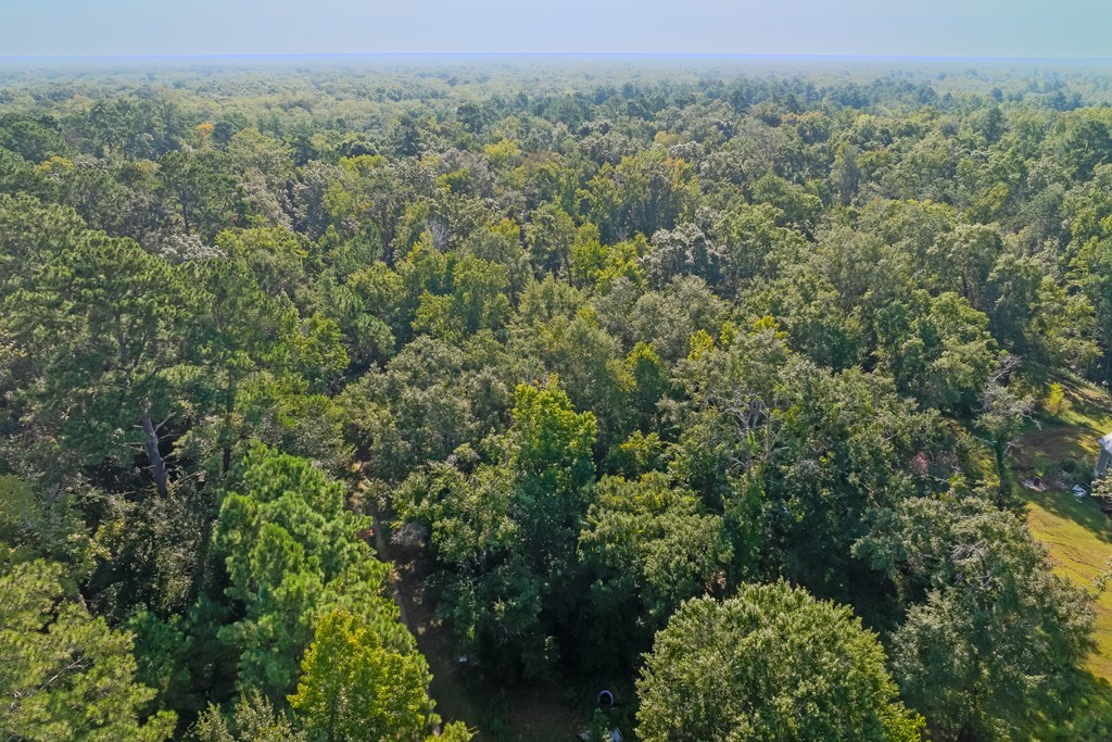 255 Riverside Circle Wewahitchka, FL 32465 - Photo 12 of 14