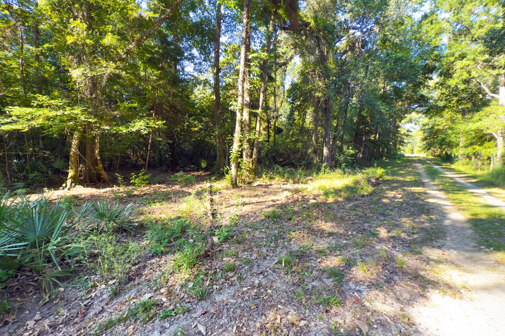 255 Riverside Circle Wewahitchka, FL 32465 - Photo 2 of 14
