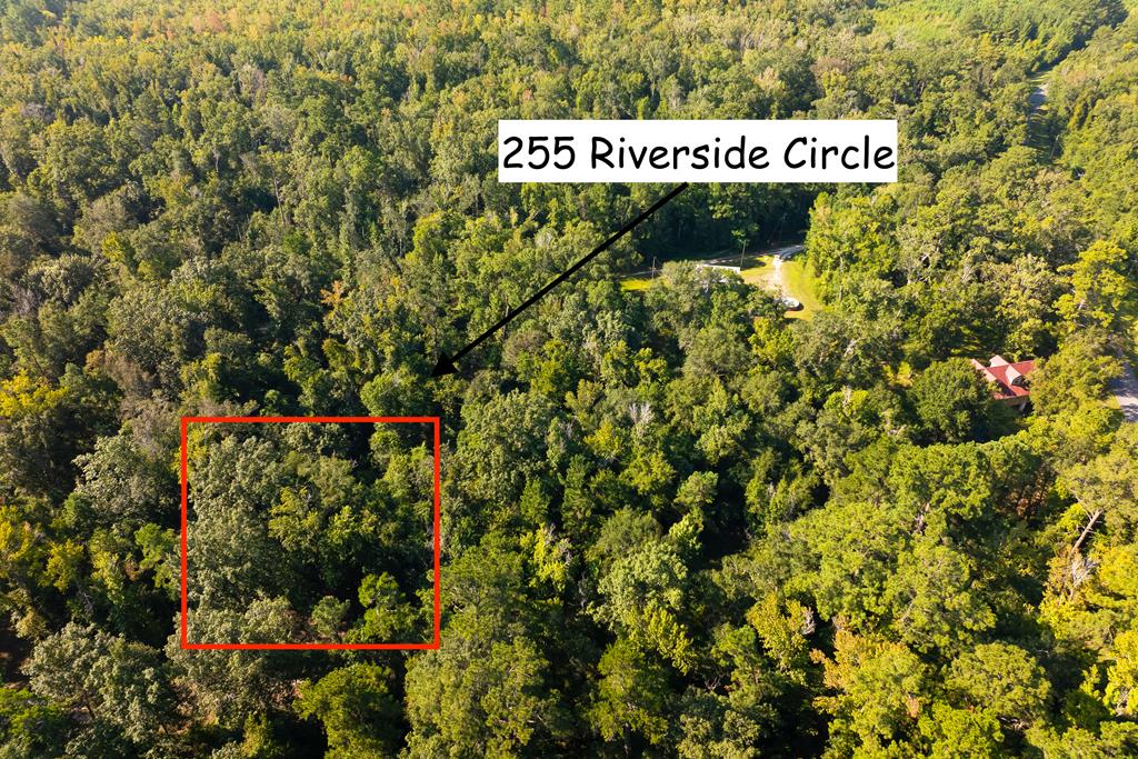 255 Riverside Circle Wewahitchka, FL 32465 - Photo 3 of 14