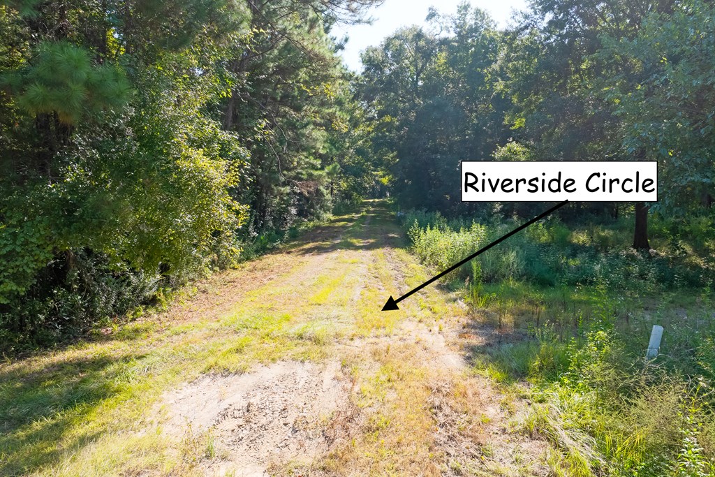 255 Riverside Circle Wewahitchka, FL 32465 - Photo 4 of 14