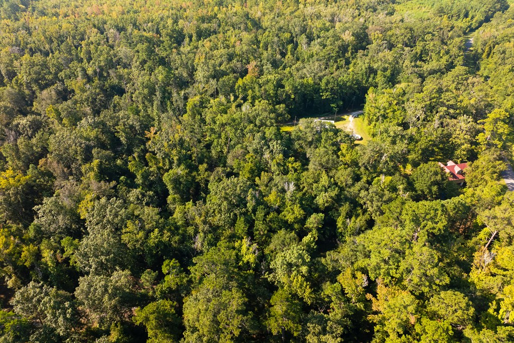 255 Riverside Circle Wewahitchka, FL 32465 - Photo 6 of 14