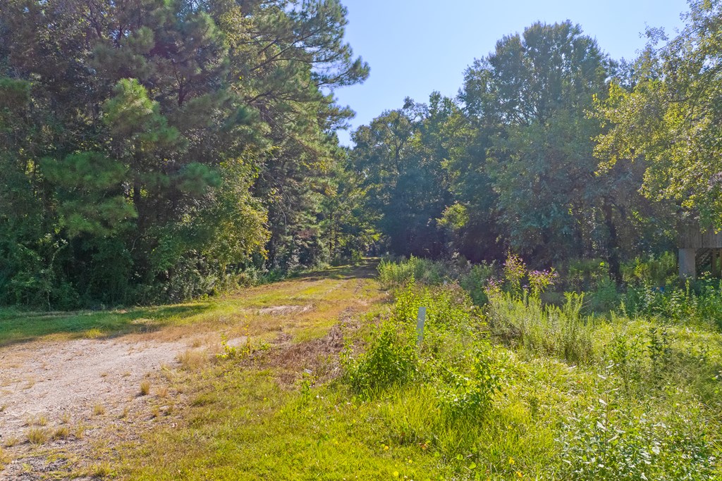255 Riverside Circle Wewahitchka, FL 32465 - Photo 7 of 14