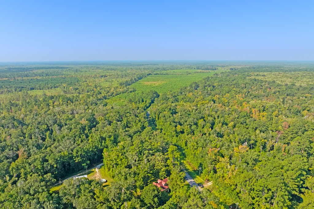 255 Riverside Circle Wewahitchka, FL 32465 - Photo 8 of 14