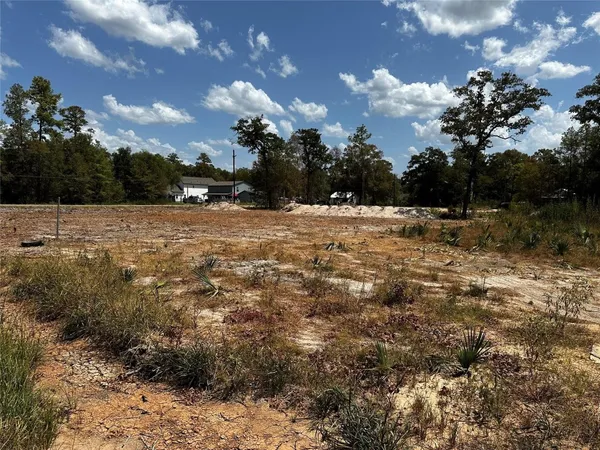 $149,990 | 17123 Spindle Oaks Drive, Conroe, TX 77385