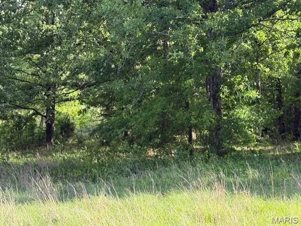$59,500 | 0 Rainbow Lane, Poplar Bluff, MO 63901