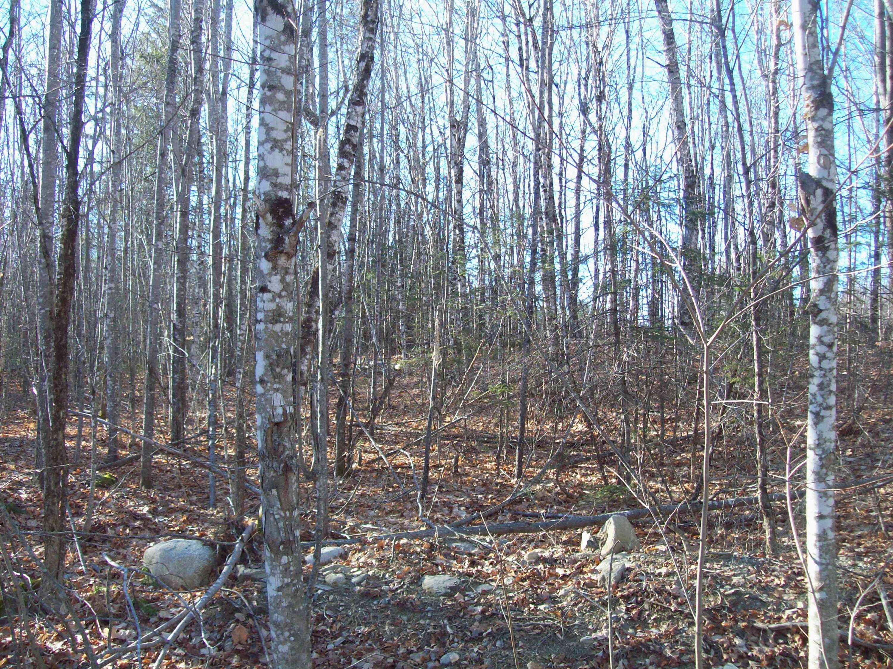 Tbd Half Township Road Lincoln, ME 04457 - Photo 4 of 12 100_2488