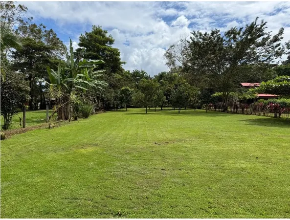 a view of swimming pool with a yard and trees
