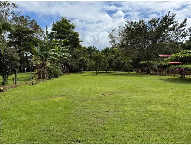 a view of swimming pool with a yard and trees